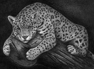 Купить грациозный ягуар на дереве, алмазная вышивка за р в Йошкар-Оле с доставкой