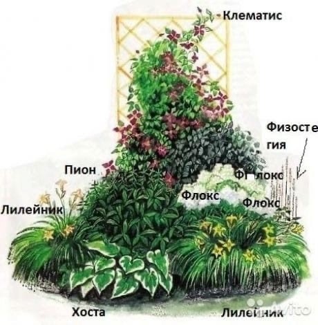 Шпаргалки по ландшафтному дизайну