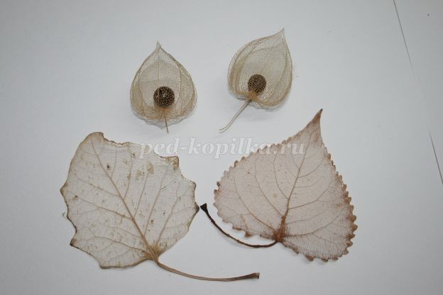 Как составить композицию из веток