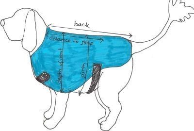 Как сшить одежду для собаки своими руками, выкройки одежды для собак