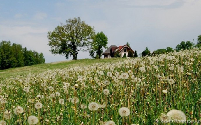 Рисуем пейзаж линером