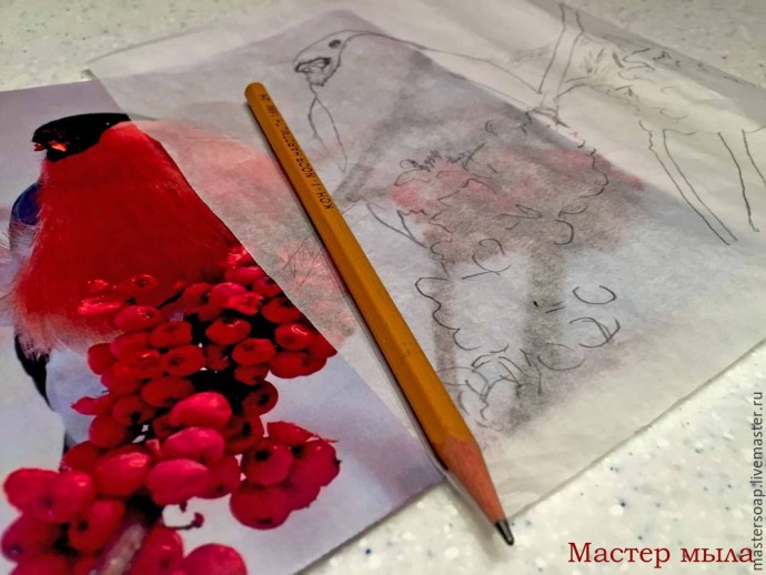 Мастер-класс по мыльной картине "Снегирь": часть 1