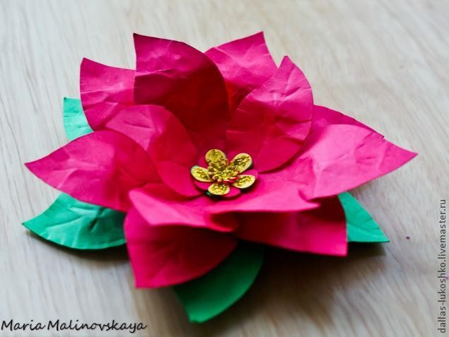 Прекрасная пуансеттия: часть 2