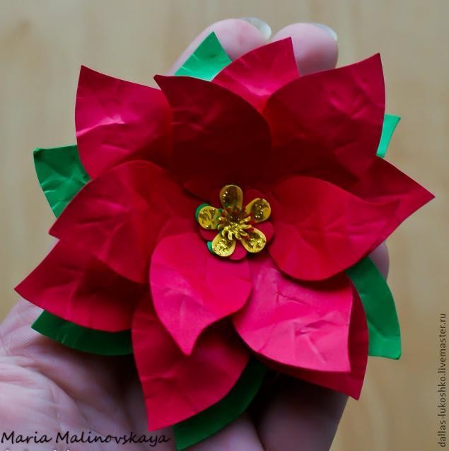 Прекрасная пуансеттия: часть 2