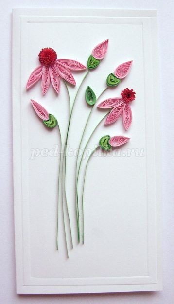 Открытка с эхинацеей в технике квиллинга: мастер-класс, часть 3