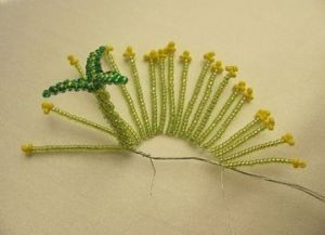 Кактус "Розовая мечта"