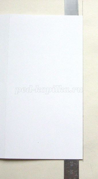 Открытка с эхинацеей в технике квиллинга: мастер-класс, часть 1