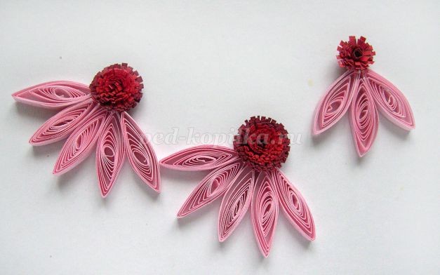 Открытка с эхинацеей в технике квиллинга: мастер-класс, часть 2