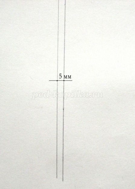Открытка с эхинацеей в технике квиллинга: мастер-класс, часть 1