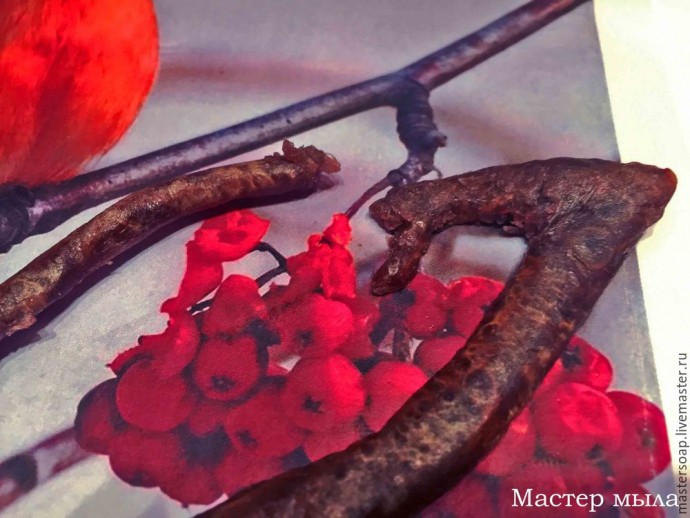 Мастер-класс по мыльной картине "Снегирь": часть 2