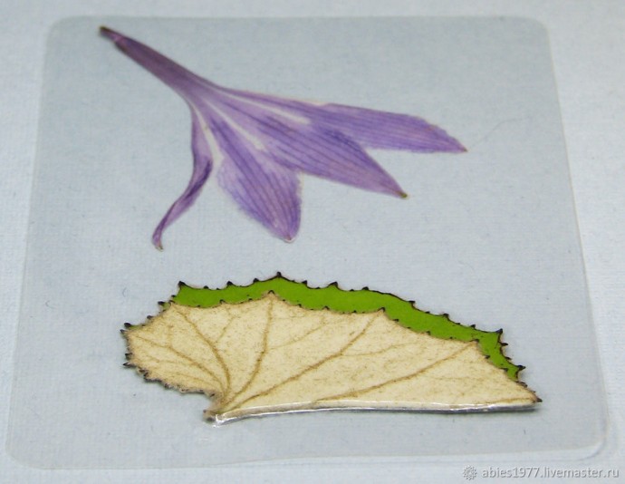 Как просто заламинировать гербарий: часть 3