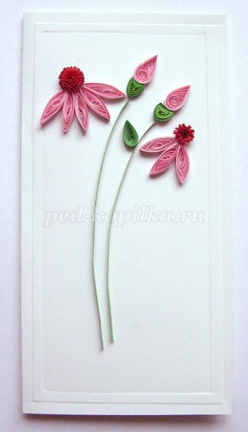 Открытка с эхинацеей в технике квиллинга: мастер-класс, часть 3
