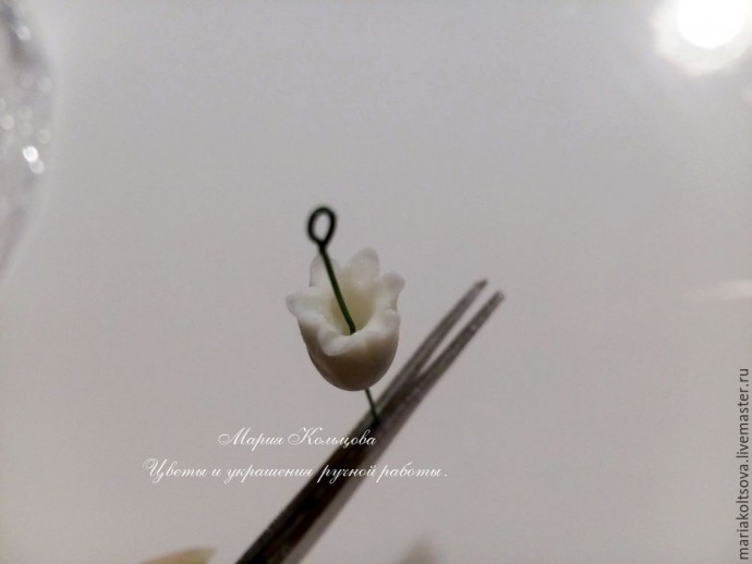 Мастер-класс по лепке мускарика (мышиного гиацинта) из полимерной глины: часть 1