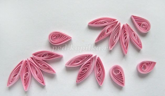 Открытка с эхинацеей в технике квиллинга: мастер-класс, часть 2