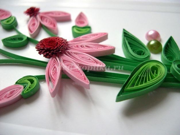 Открытка с эхинацеей в технике квиллинга: мастер-класс, часть 3