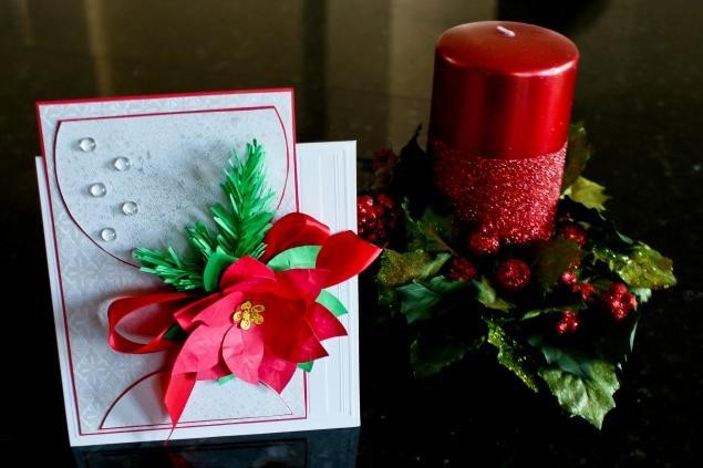 Прекрасная пуансеттия: часть 2