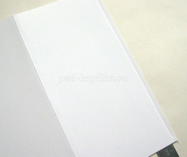 Открытка с эхинацеей в технике квиллинга: мастер-класс, часть 1