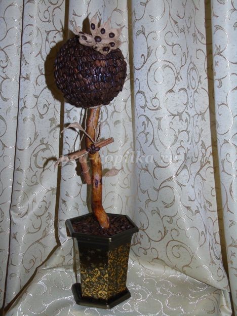 Как сделать кофейный топиарий своими руками: мастер-класс