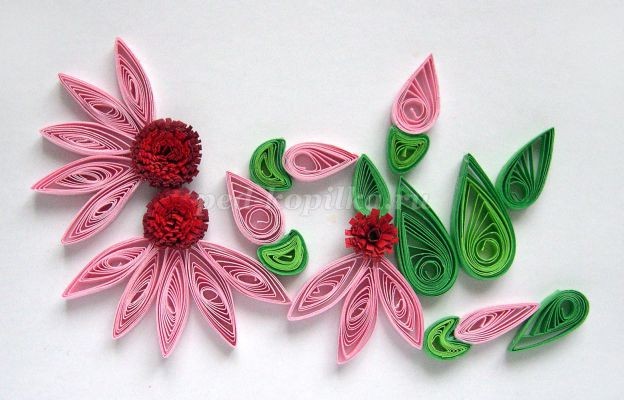 Открытка с эхинацеей в технике квиллинга: мастер-класс, часть 3