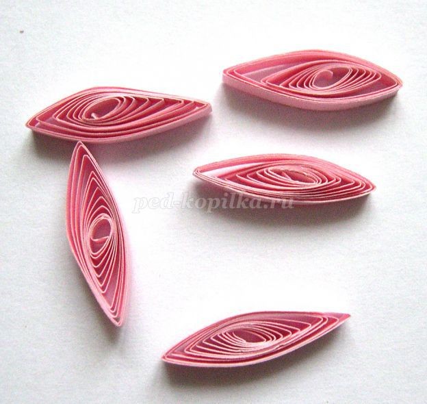 Открытка с эхинацеей в технике квиллинга: мастер-класс, часть 2