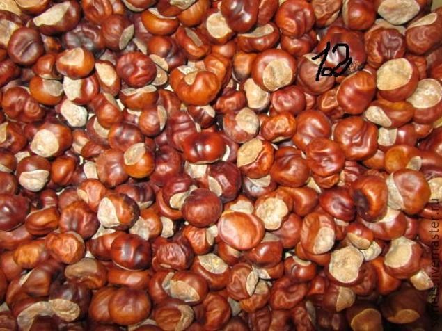 Делаем ёлку из каштанов: часть 1