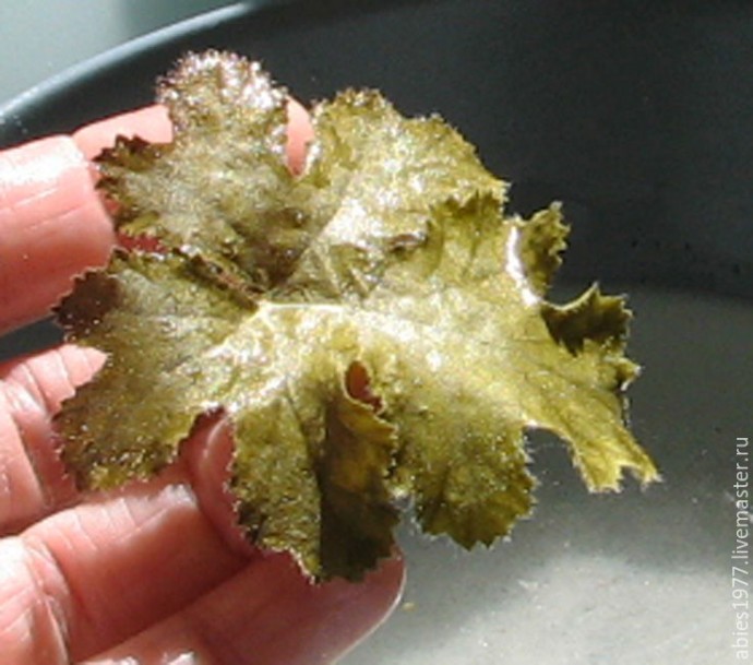 Опыты по созданию объемного гербария - или как сохранить цветок в первозданном виде