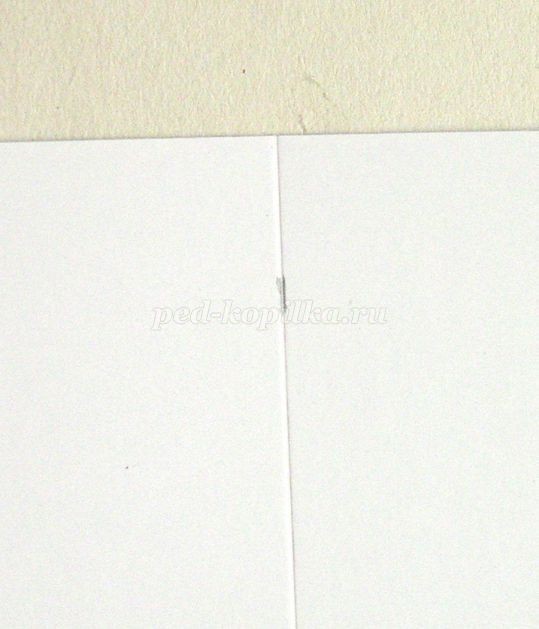 Открытка с эхинацеей в технике квиллинга: мастер-класс, часть 1