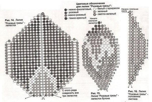 Лилия из биcеpa