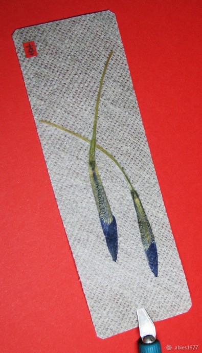 Оригинальная закладка своими руками в технике ошибана: часть 1