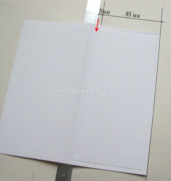 Открытка с эхинацеей в технике квиллинга: мастер-класс, часть 2