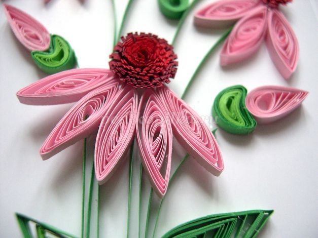 Открытка с эхинацеей в технике квиллинга: мастер-класс, часть 3