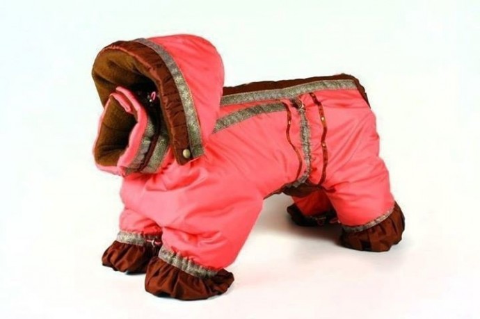 Комбинезон для собачки