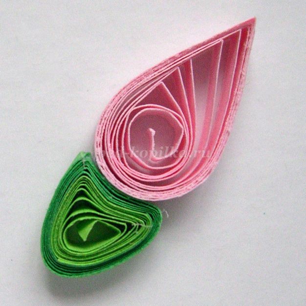 Открытка с эхинацеей в технике квиллинга: мастер-класс, часть 2