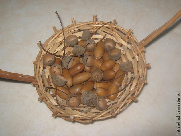 Идеи с желудями: часть 1