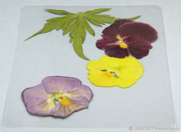 Как просто заламинировать гербарий: часть 4