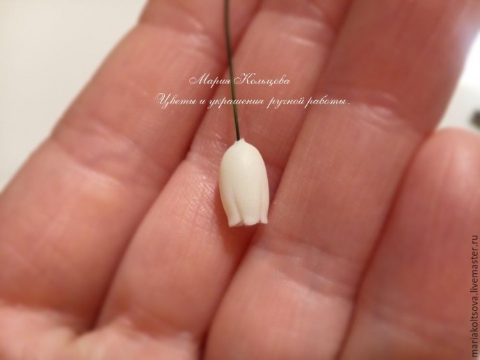 Мастер-класс по лепке мускарика (мышиного гиацинта) из полимерной глины: часть 1