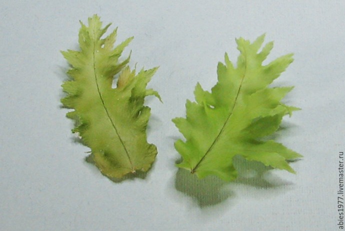 Опыты по созданию объемного гербария - или как сохранить цветок в первозданном виде